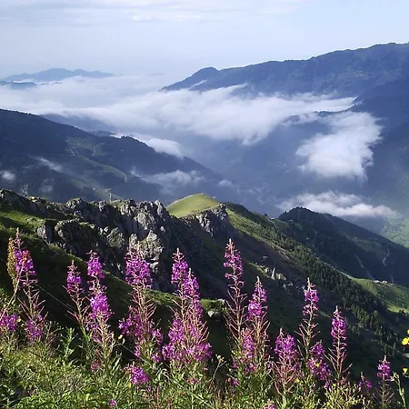 Inanlar / Huseyin Inan Uzungöl