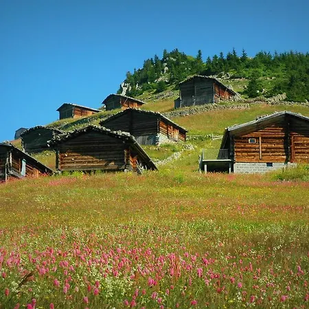 Inanlar / Huseyin Inan Otel Uzungöl